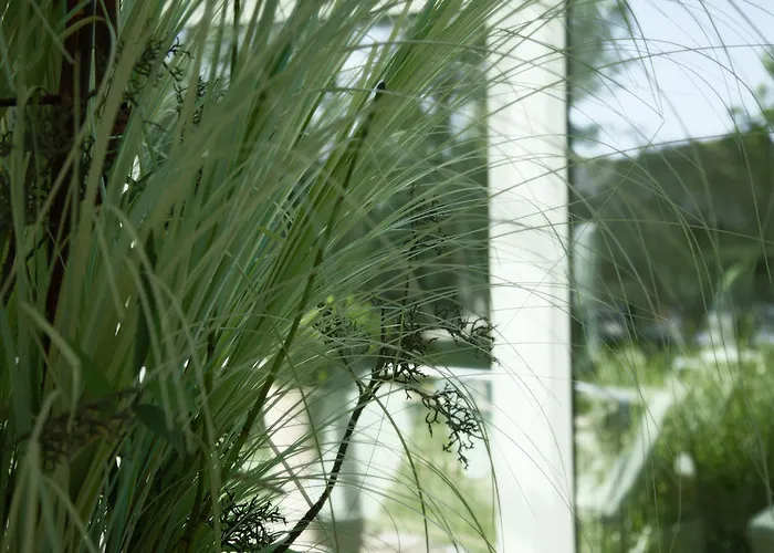 Thermenhotel Quellenhof Hotel Bad Füssing